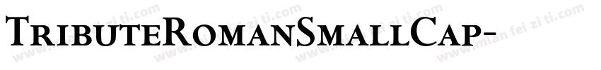 TributeRomanSmallCap字体转换