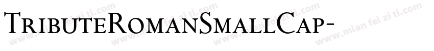 TributeRomanSmallCap字体转换