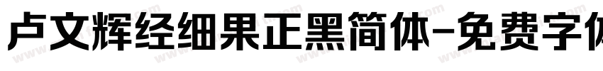 卢文辉经细果正黑简体字体转换