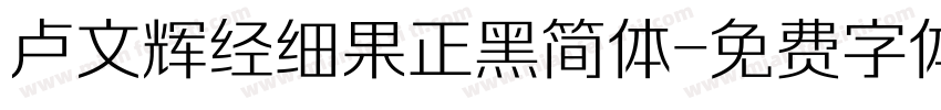 卢文辉经细果正黑简体字体转换