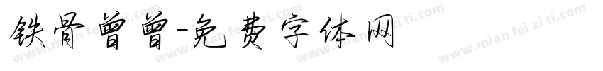 铁骨曾曾字体转换