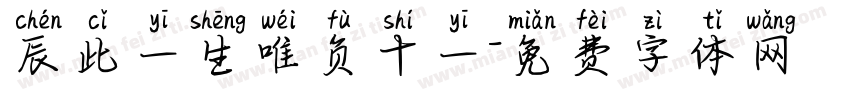 辰此一生唯负十一字体转换