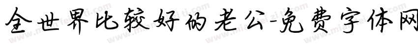 全世界比较好的老公字体转换