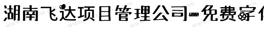 湖南飞达项目管理公司字体转换