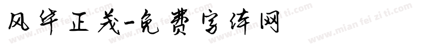 风华正茂字体转换