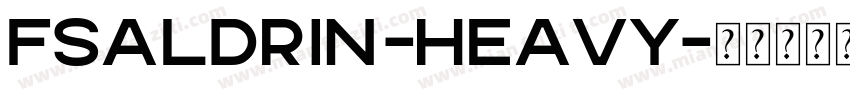 FSAldrin-Heavy字体转换