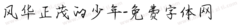 风华正茂的少年字体转换