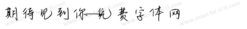 期待见到你字体转换