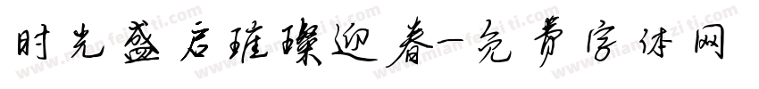 时光盛启璀璨迎春字体转换