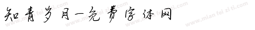 知青岁月字体转换