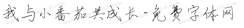 我与小番茄共成长字体转换