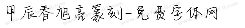 甲辰春旭亮篆刻字体转换