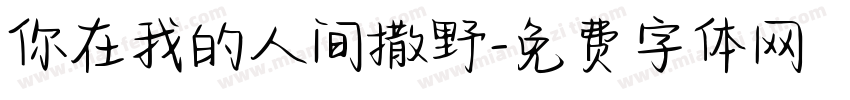 你在我的人间撒野字体转换