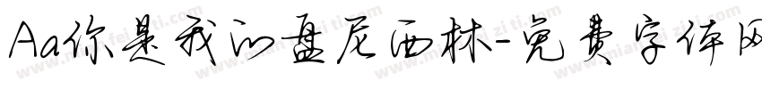 Aa你是我的盘尼西林字体转换