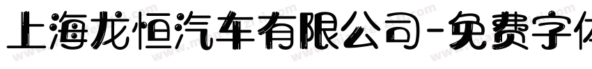 上海龙恒汽车有限公司字体转换