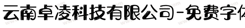 云南卓凌科技有限公司字体转换