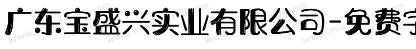 广东宝盛兴实业有限公司字体转换