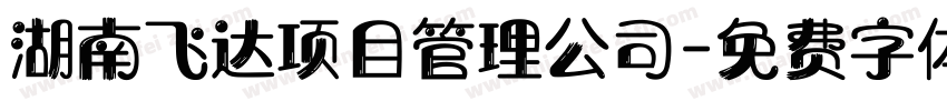 湖南飞达项目管理公司字体转换