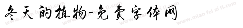 冬天的植物字体转换