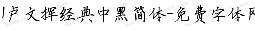 l卢文挥经典中黑简体字体转换