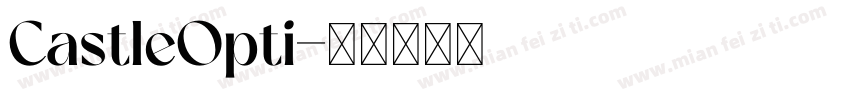 CastleOpti字体转换