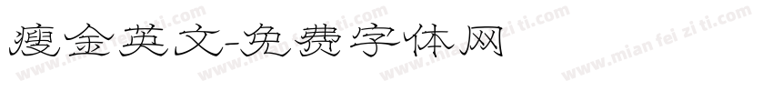 瘦金英文字体转换