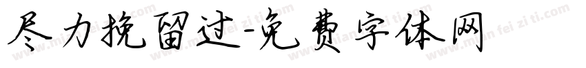 尽力挽留过字体转换