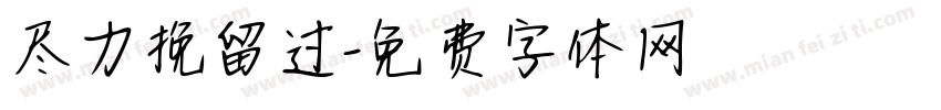 尽力挽留过字体转换