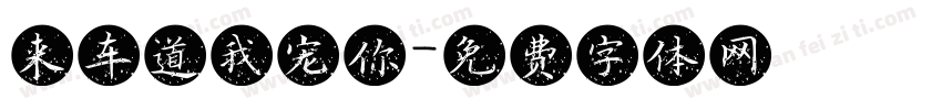 来车道我宠你字体转换