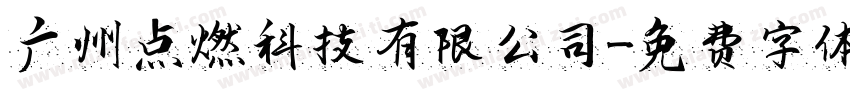 广州点燃科技有限公司字体转换