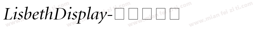 LisbethDisplay字体转换