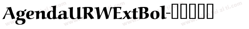 AgendaURWExtBol字体转换