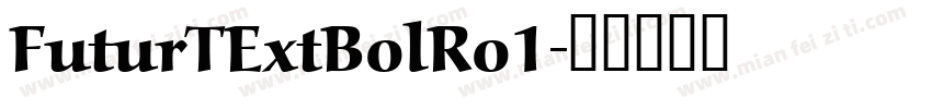 FuturTExtBolRo1字体转换