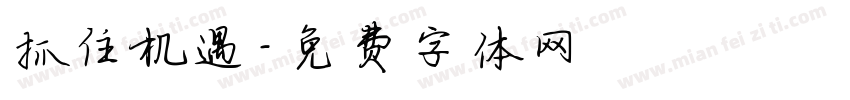 抓住机遇字体转换