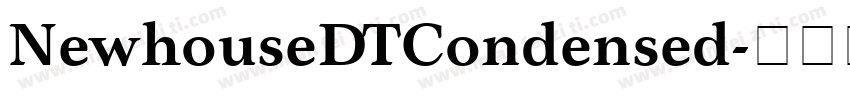 NewhouseDTCondensed字体转换