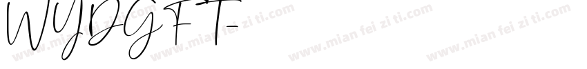 WYDGFT字体转换