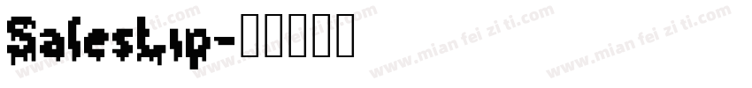SalesLip字体转换