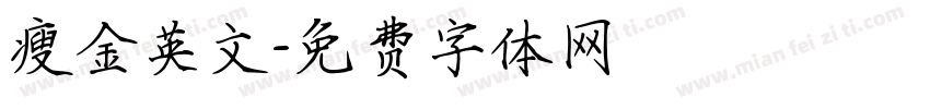 瘦金英文字体转换