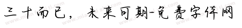 三十而已，未来可期字体转换