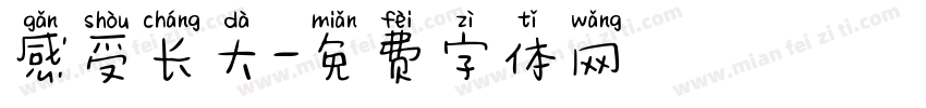 感受长大字体转换