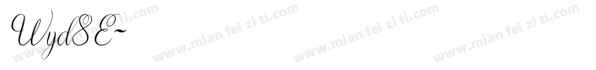 Wyd8E字体转换