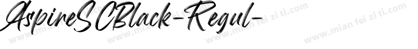 AspireSCBlack-Regul字体转换