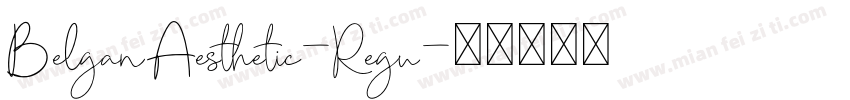 BelganAesthetic-Regu字体转换