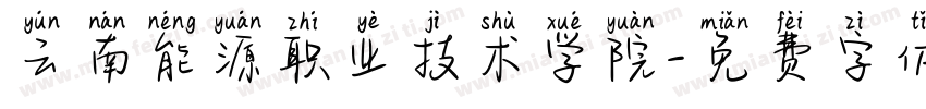 云南能源职业技术学院字体转换
