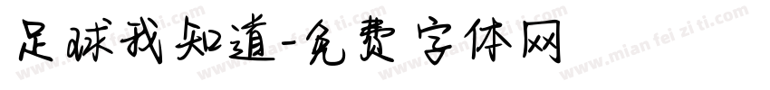 足球我知道字体转换