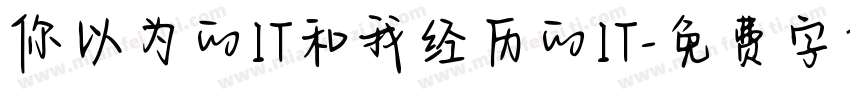 你以为的IT和我经历的IT字体转换