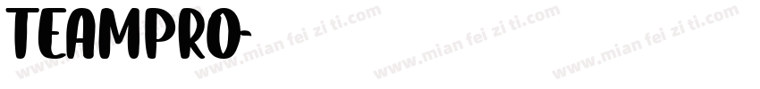 TEAMPRO字体转换