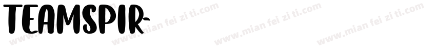 TEAMSPIR字体转换