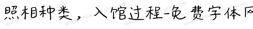 照相种类，入馆过程字体转换