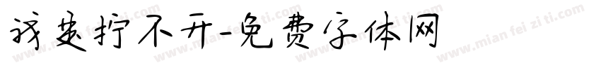我是拧不开字体转换